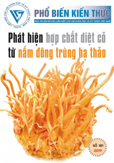 Bản tin Phổ biến Kiến thức Liên hiệp Hội Việt Nam số 181/2019