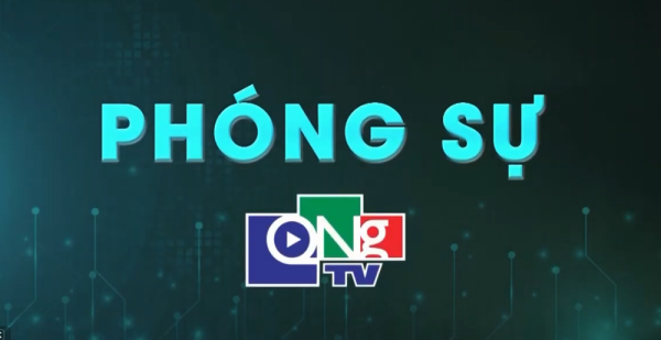 Phóng sự chào mừng Ngày Khoa học, Công nghệ và Đổi mới sáng tạo 18-5: Trí thức Quảng Ngãi – Động lực cho khát vọng bứt phá