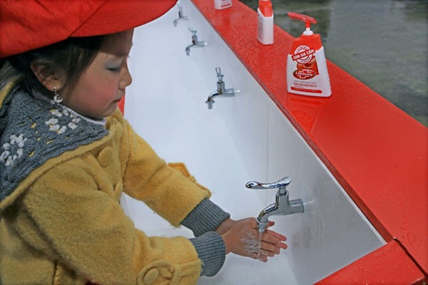 Cách phòng bệnh và điều trị cúm gia cầm