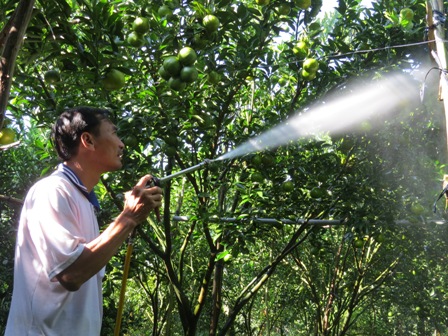 Kỹ sư "chân đất" điều khiển tưới cây qua điện thoại di động